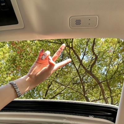 不撞款的小众静物头像