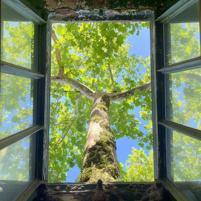 不撞款的小众静物头像