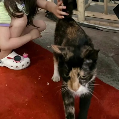 对象不是人主题单人情侣头像