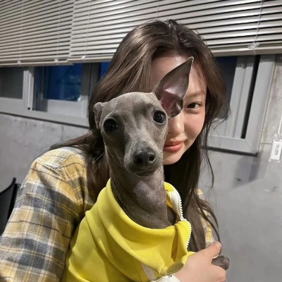 2026最新ins可爱女生头像