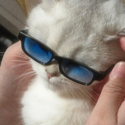 可爱猫咪修勾头像