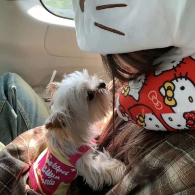 可可爱爱氛围感女头