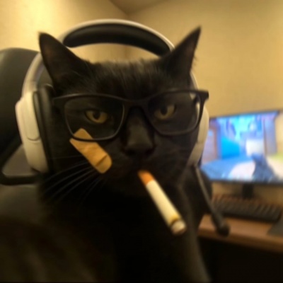 高清电竞小猫情侣头像