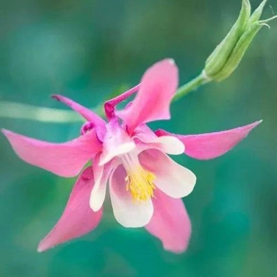 超有深度的风景头像