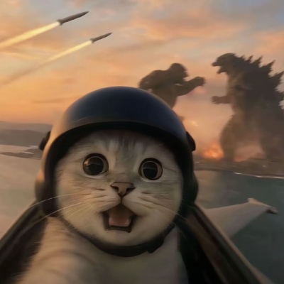 搞怪猫咪头像