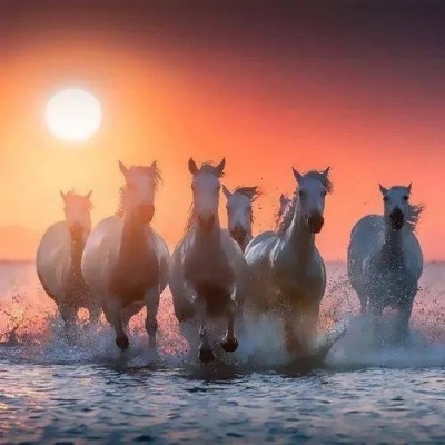 超有深度的风景头像