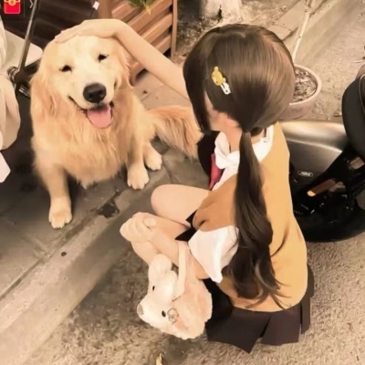 对象不是人系列情头ins