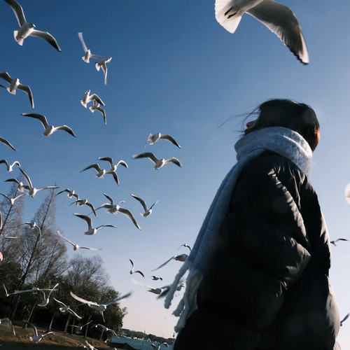 2026年微信头像全部最新版