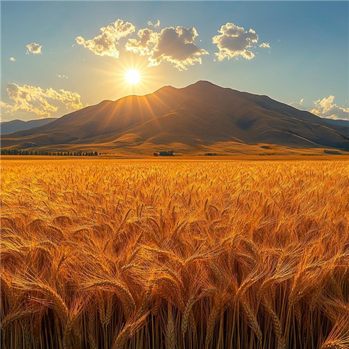 2026微信头像最吉利好运图片