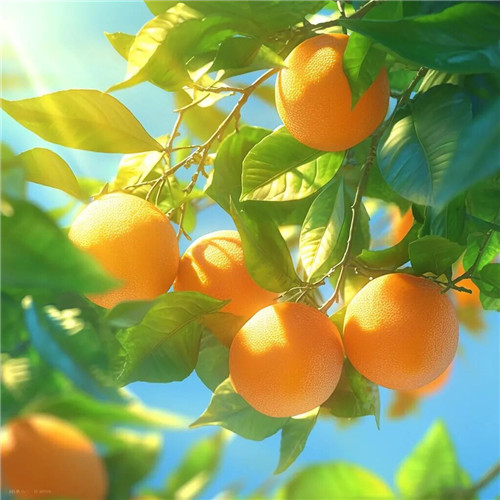 2026最旺好运头像