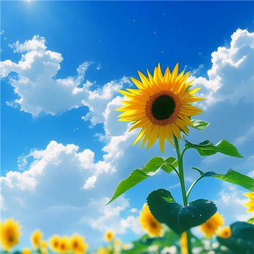 2026最旺好运头像