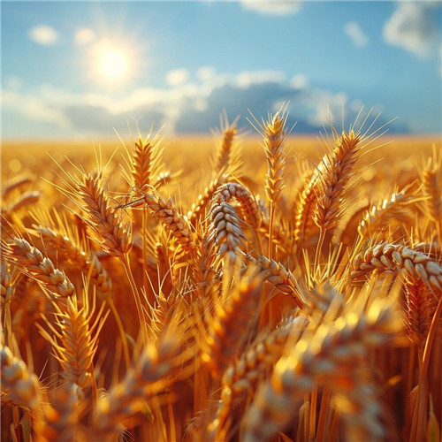 2026最旺好运头像