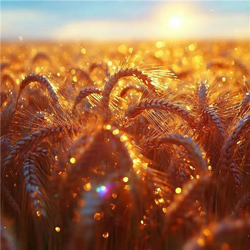 2026年最旺财的微信头像