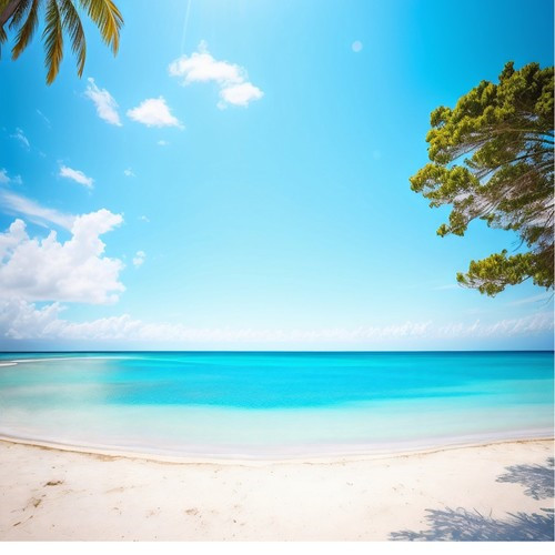 2026最好看的图片头像