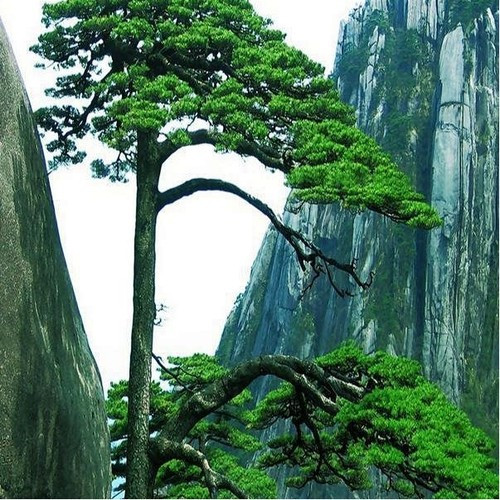 头像2026最新款图片