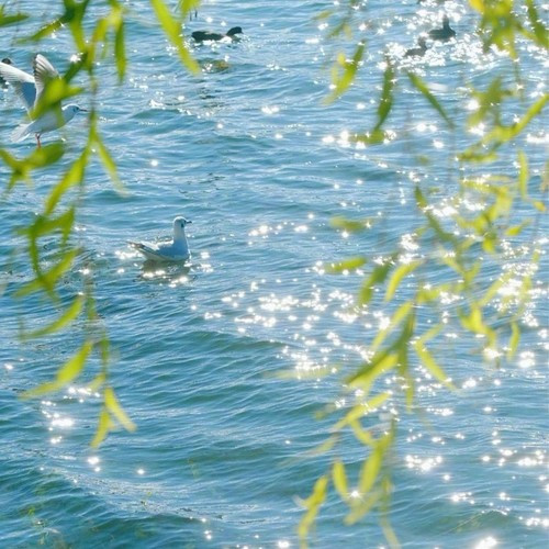 2026年最流行的头像