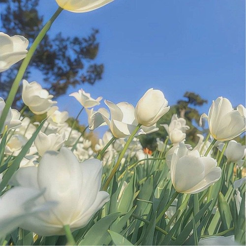 2026最火永久不换的头像