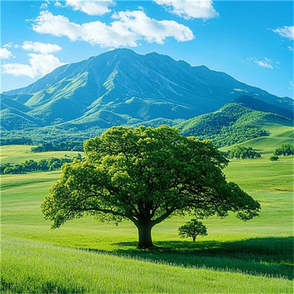 头像图片2026风景最新款