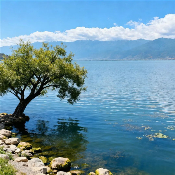 2026最流行的风景头像