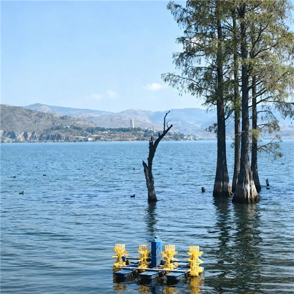 2026最流行的风景头像