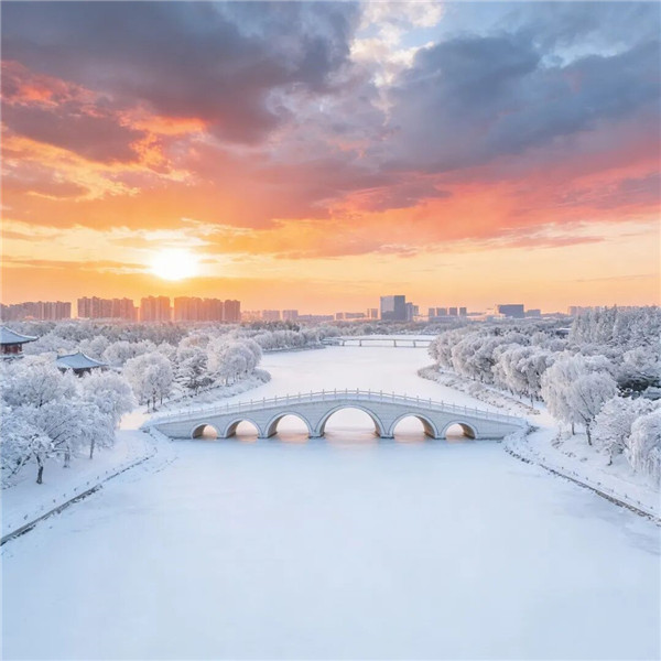 2026最流行的风景头像