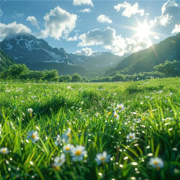 2026年微信吉利好运头像