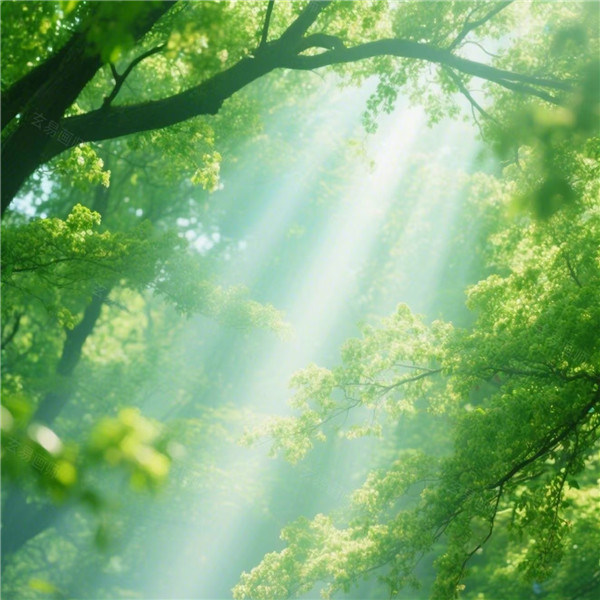 2026年自带好运头像