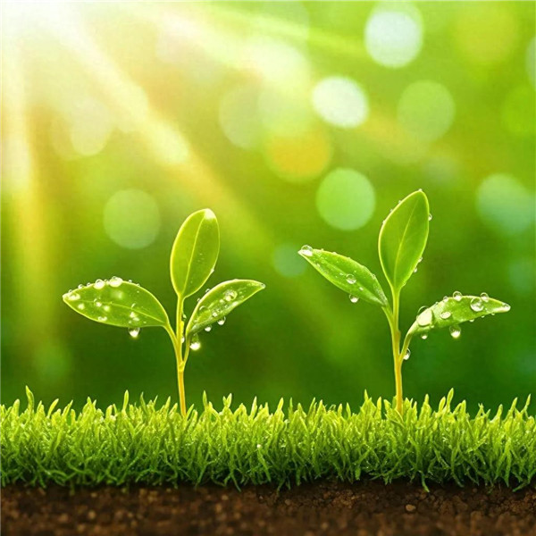 2026年自带好运头像