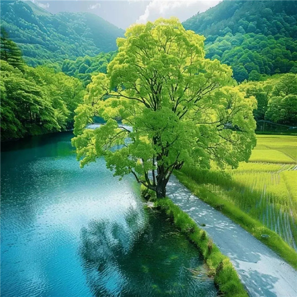 2026运气最旺的头像