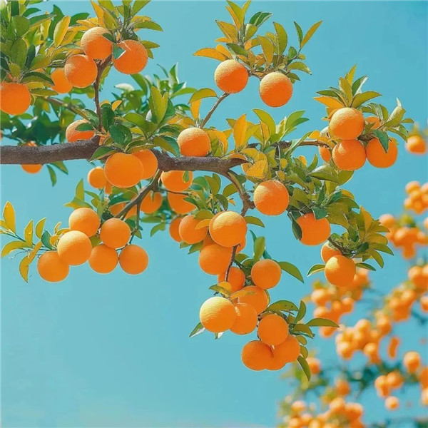 2026运气最旺的头像