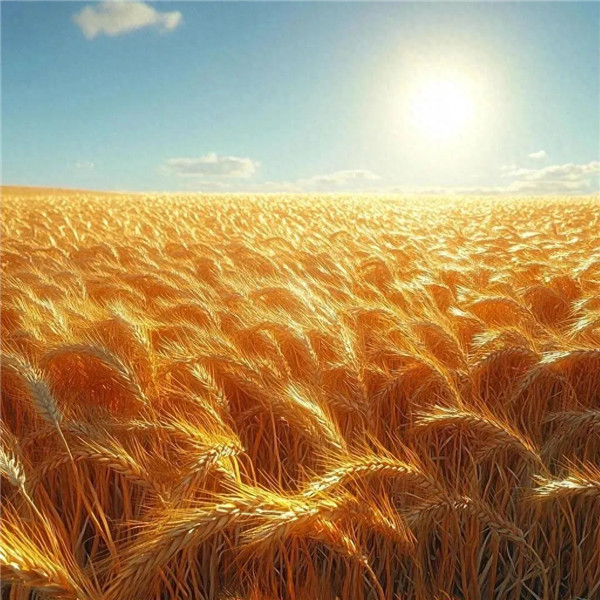 2026运气最旺的头像