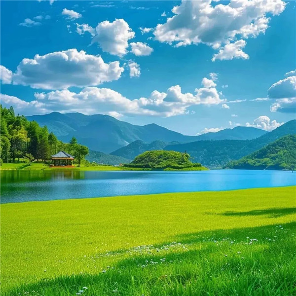 2026运气最旺的头像