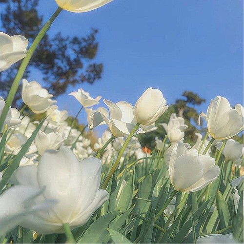 微信头像简约干净2026