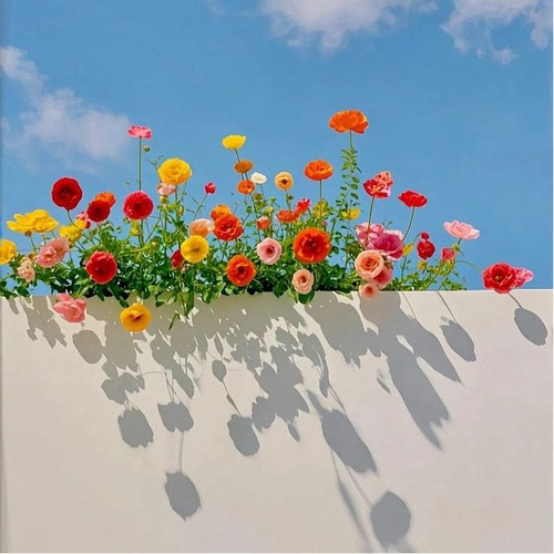 简单耐看微信头像