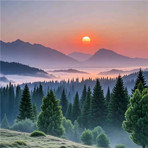 2026男人招米头像