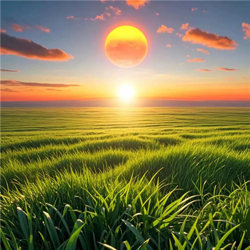 2026男人招米头像