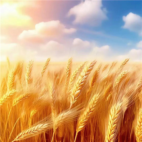 2026男人招米头像