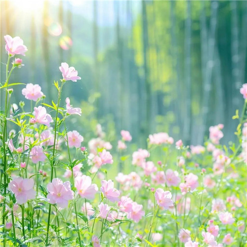 2026微信头像带来好运气的图片女