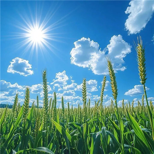 2026微信头像带来好运气的图片女