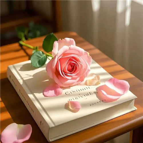 2026年好运微信头像