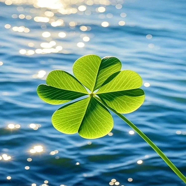 女人最旺最招财的头像