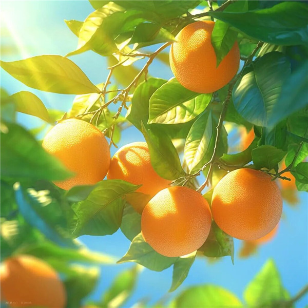 适合2026年最火头像