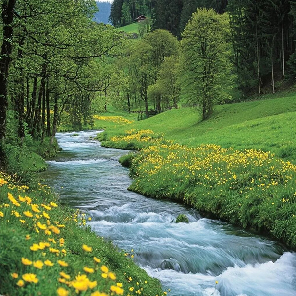 适合2026年最火头像