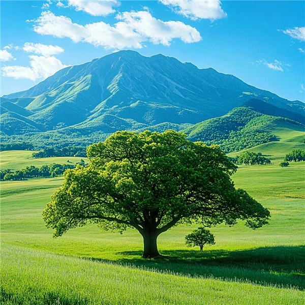 适合2026年最火头像