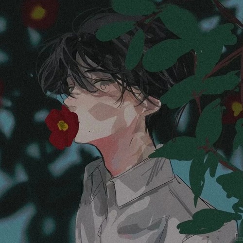 2026新头像图片大全