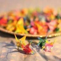 超全清新唯美千纸鹤头像图片