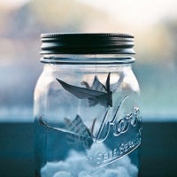 超全清新唯美千纸鹤头像图片