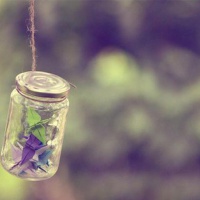 超全清新唯美千纸鹤头像图片