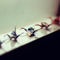 超全清新唯美千纸鹤头像图片