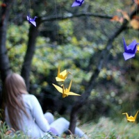 超全清新唯美千纸鹤头像图片